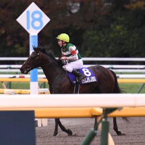 【ジャパンＣ】１１着レイデオロは有馬で引退へ、陣営は有終Ｖに意欲