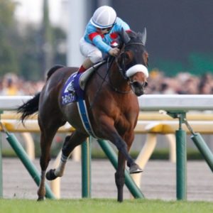 【2019年有馬記念】ファン投票最終結果！（上位馬まとめ）