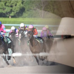 【競馬】仕事と競馬予想の両立